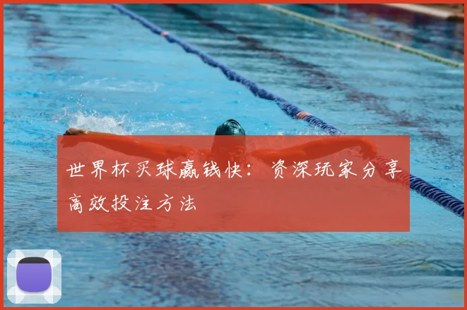 世界杯买球赢钱快：资深玩家分享高效投注方法