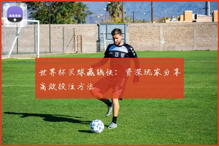 世界杯买球赢钱快：资深玩家分享高效投注方法