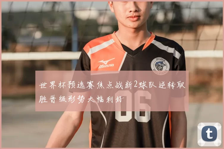 世界杯预选赛焦点战新2球队逆转取胜晋级形势大幅利好