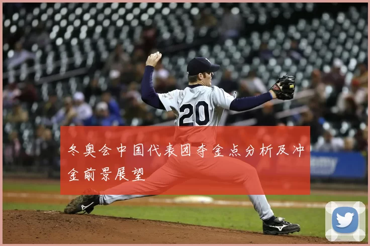 冬奥会中国代表团夺金点分析及冲金前景展望